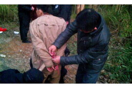 叠彩要钱公司排名:揭秘行业佼佼者,投资理财新风向 叠彩要钱公司排名:揭秘行业佼佼者,投资理财新风向